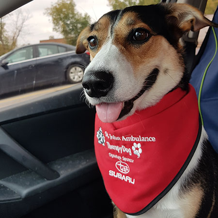 ‎sjatherapydog