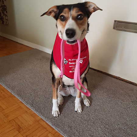 ‎sjatherapydog