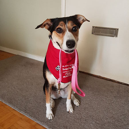 ‎sjatherapydog