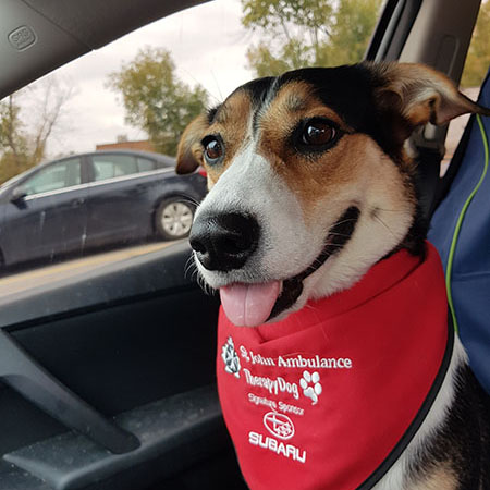 ‎therapydog